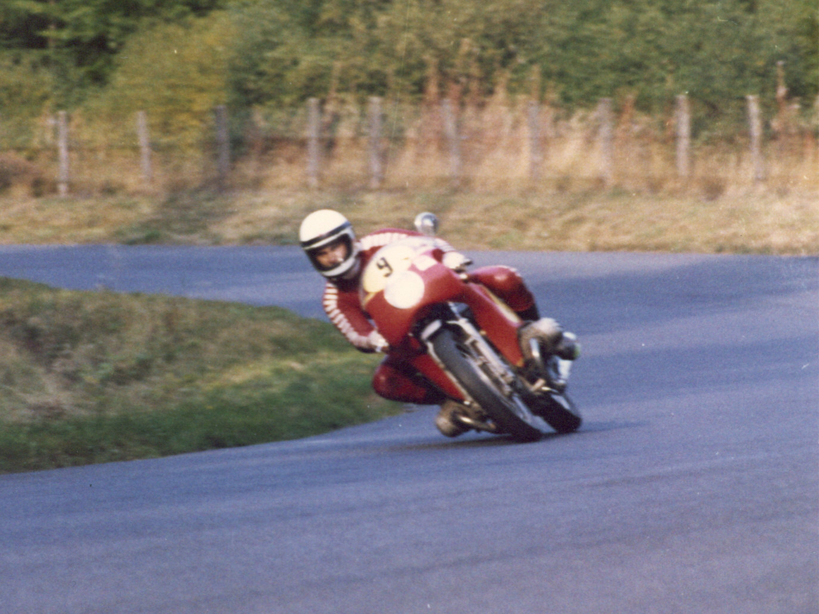 Dähne 1973