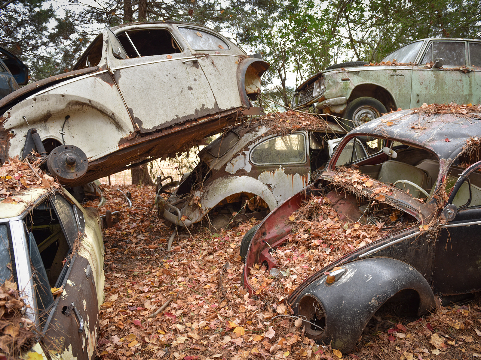 Old Car City 3