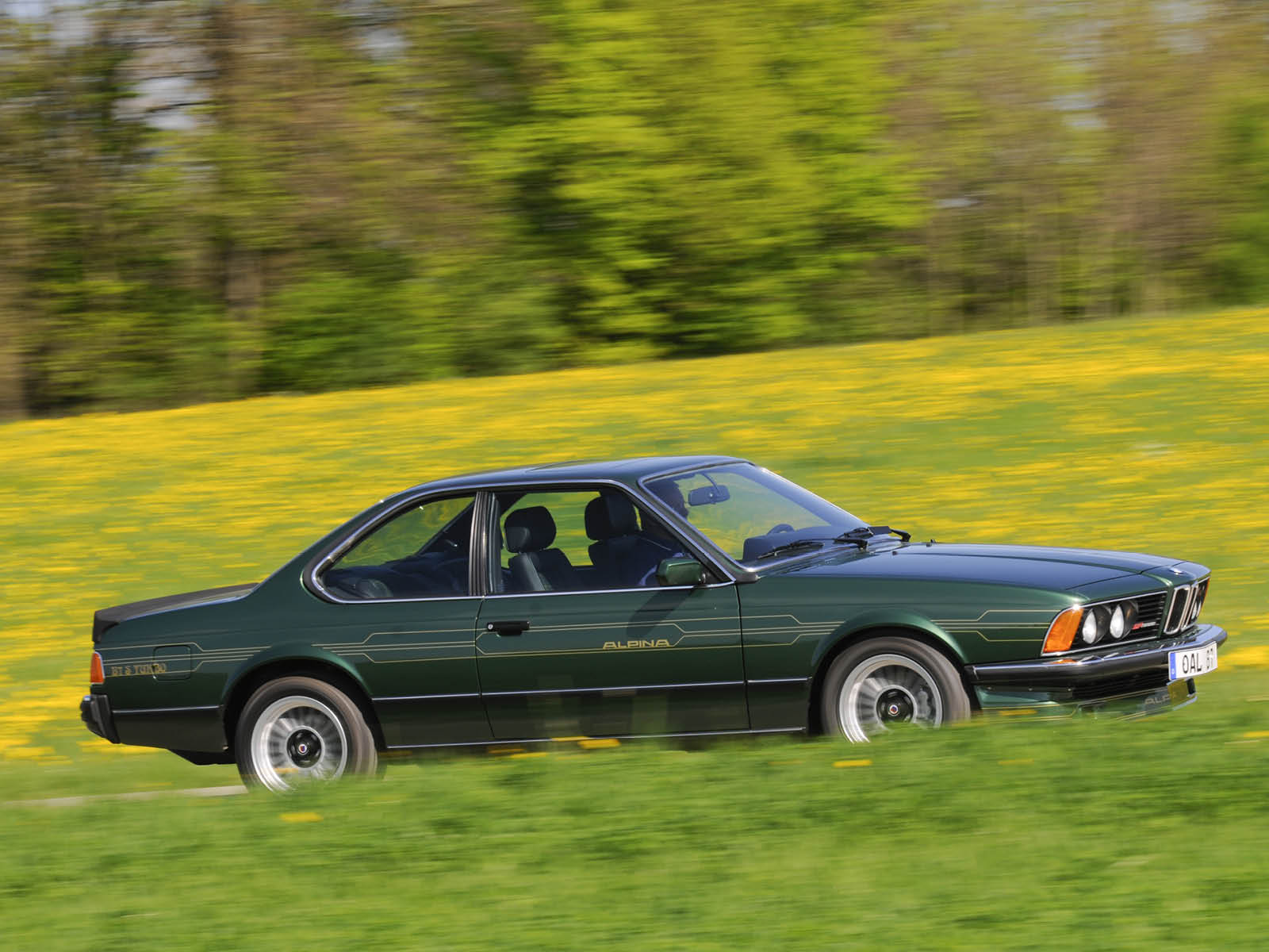 Alpina_BB_7