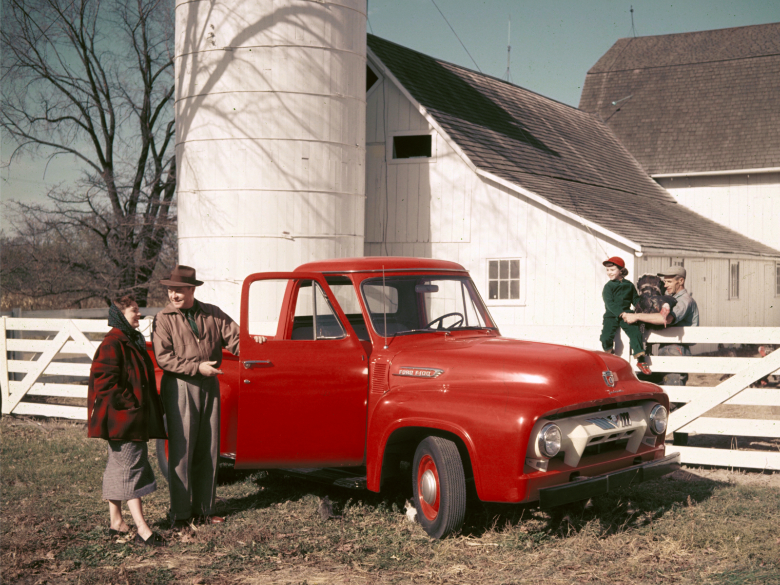 Ford F100 1954