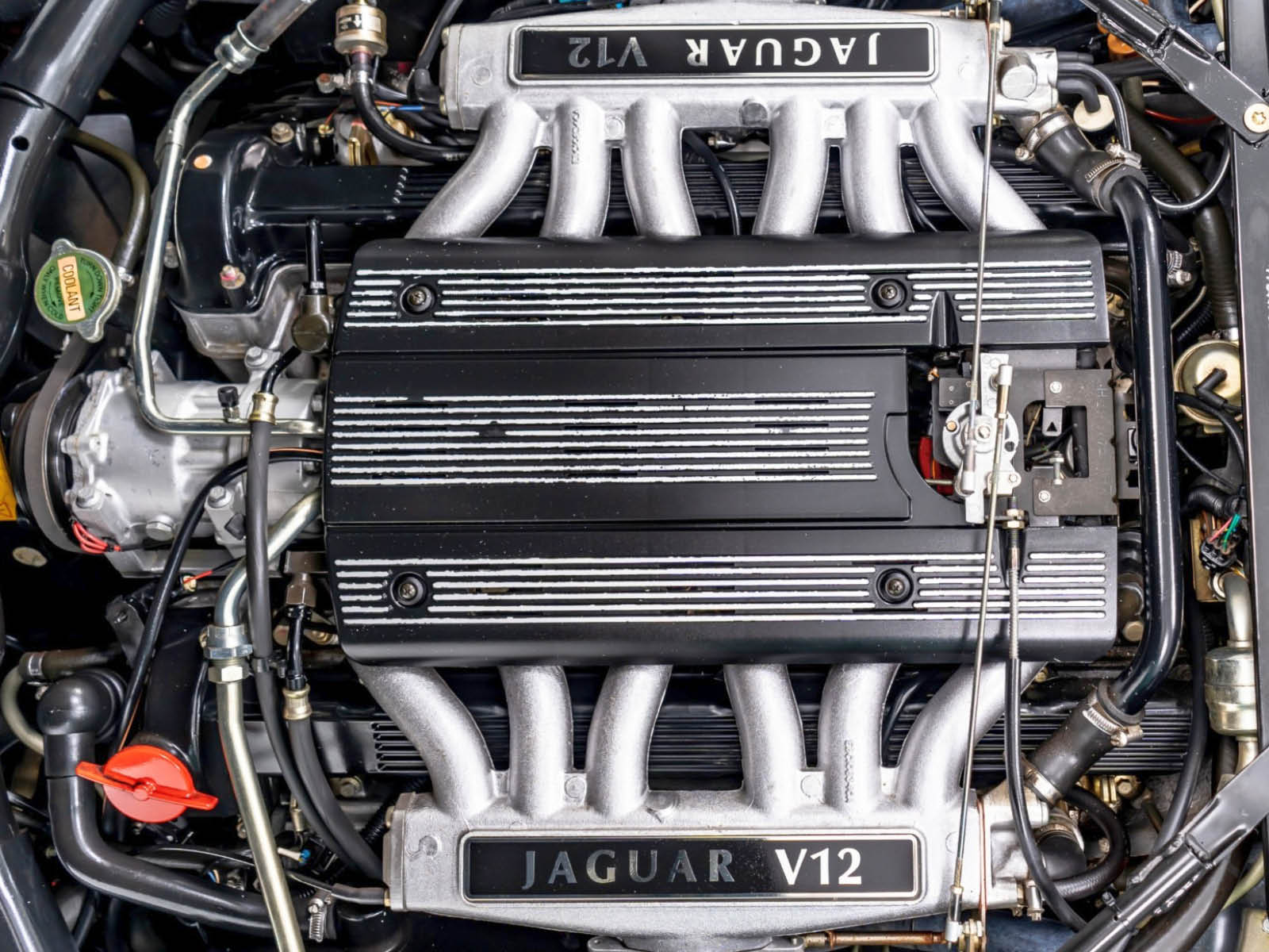 Jaguar XJ12