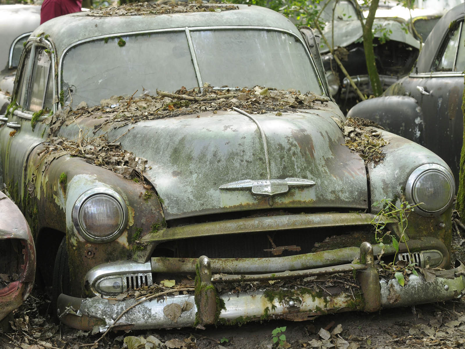 EU-Altautoverordnung