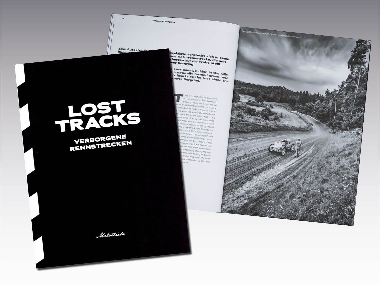 Lost Tracks von Dani Heyne