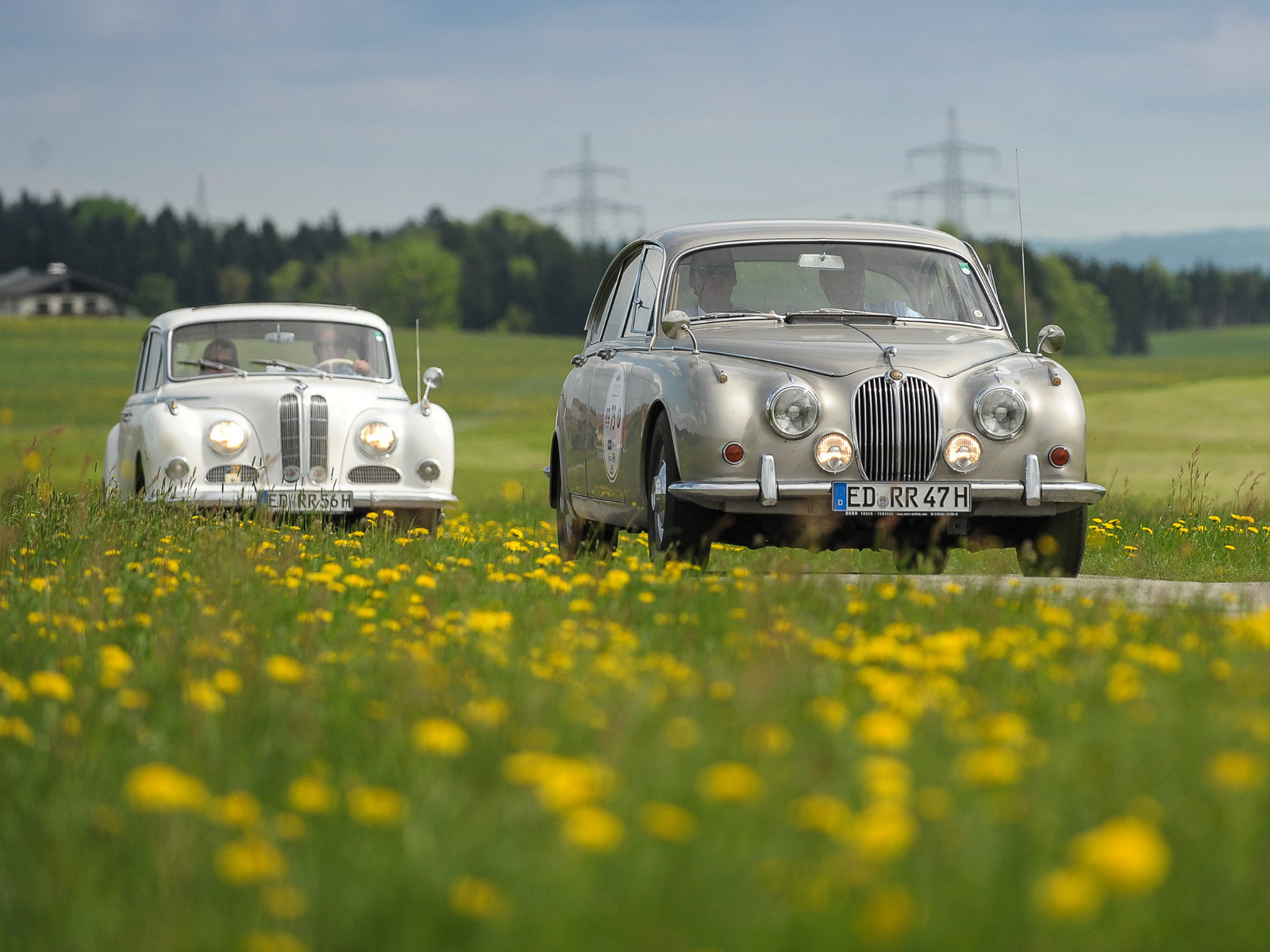 Oldtimer in Deutschland BMW 502 Jaguar Mk II
