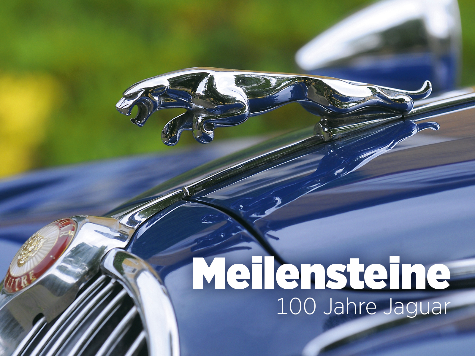 Hochgeladenes Bild