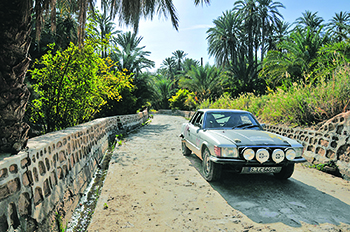 Cannstatt-Carthago-Classic