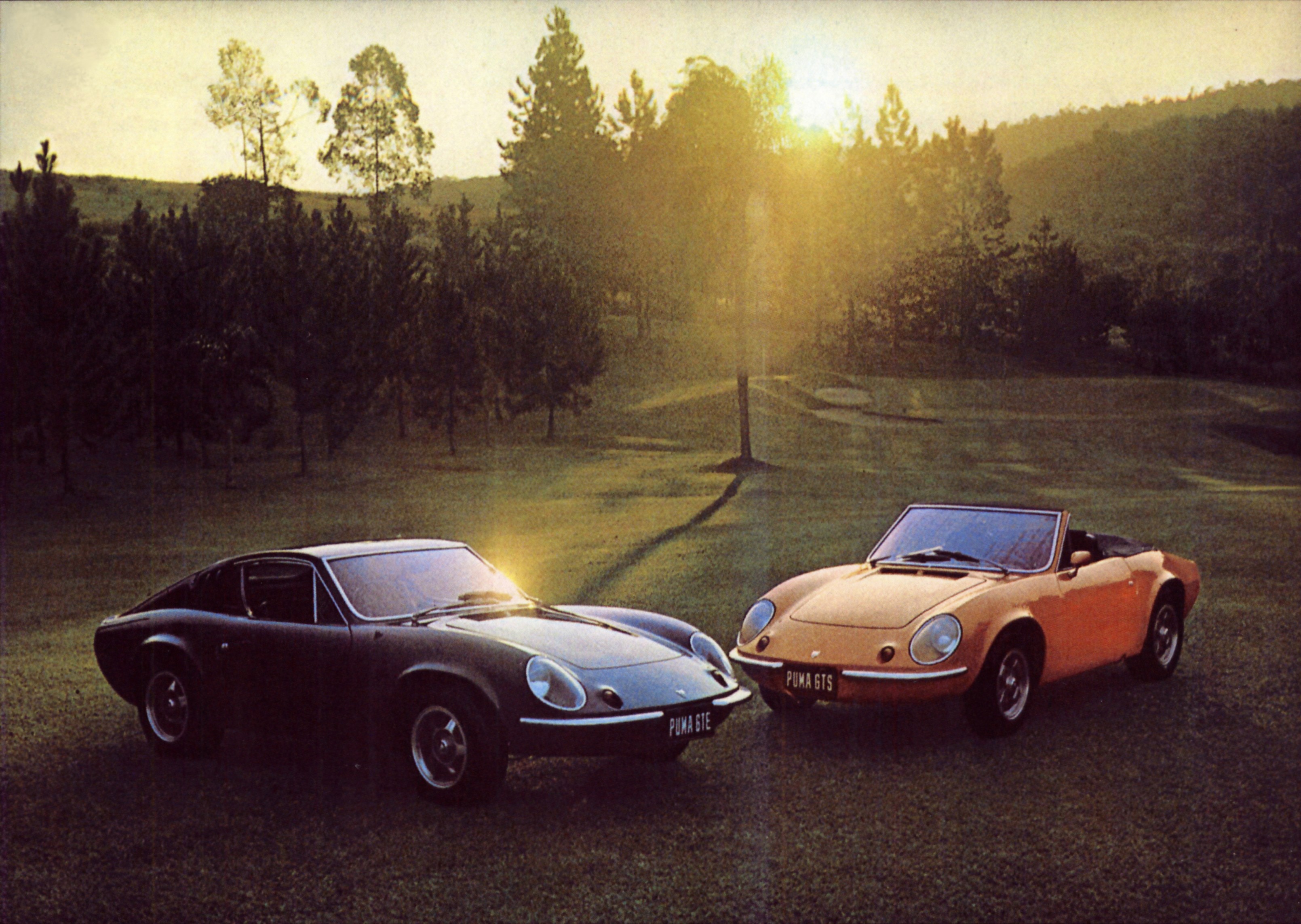 Puma-Treffen