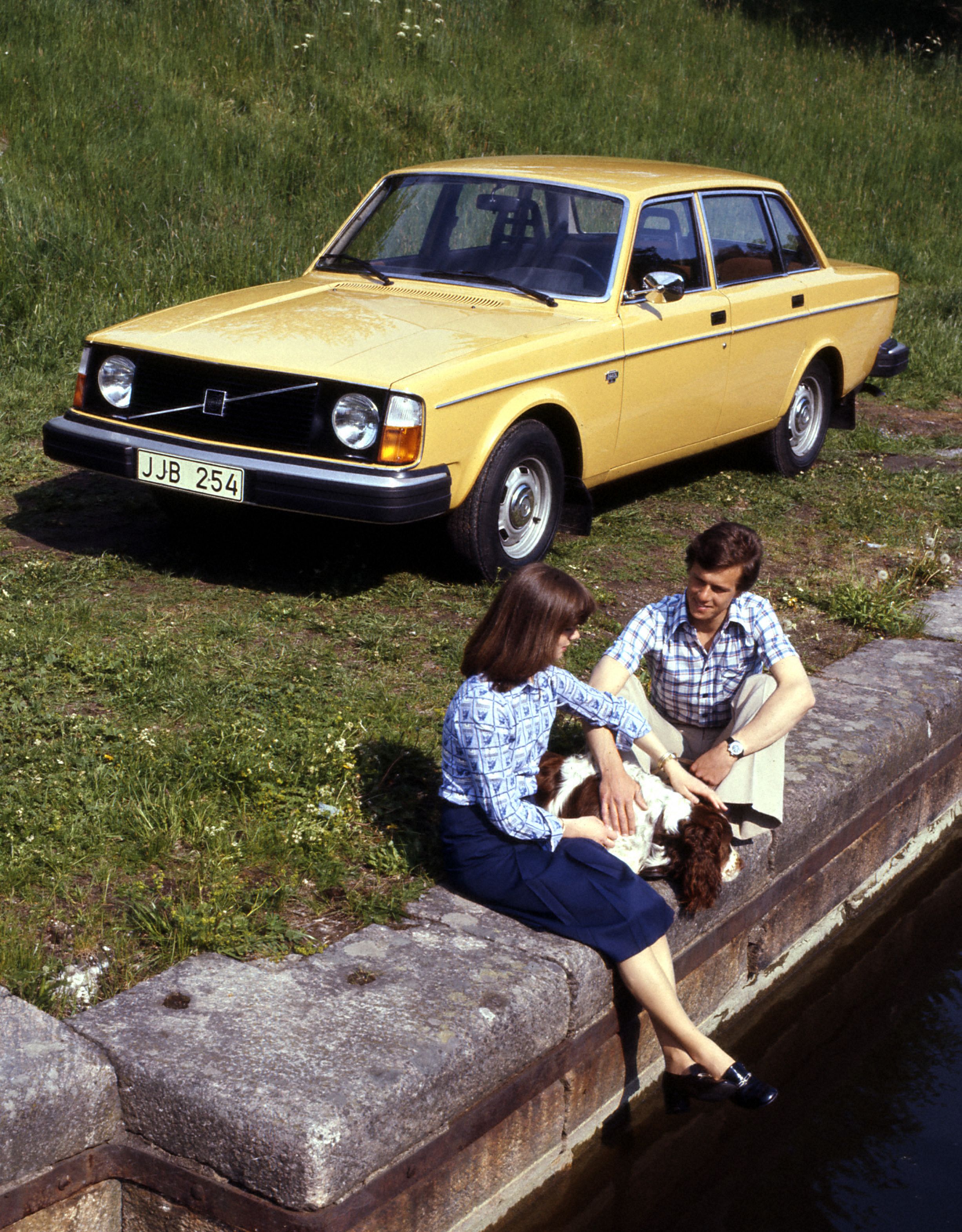 Volvo 245 DL